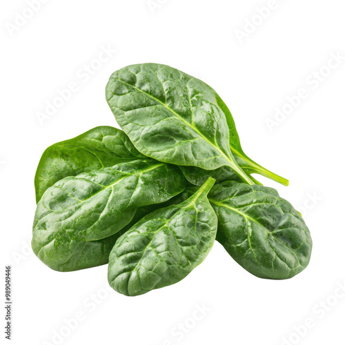 Fresh spinach leaves, green and lush, isolated on a white background. transparent background.
