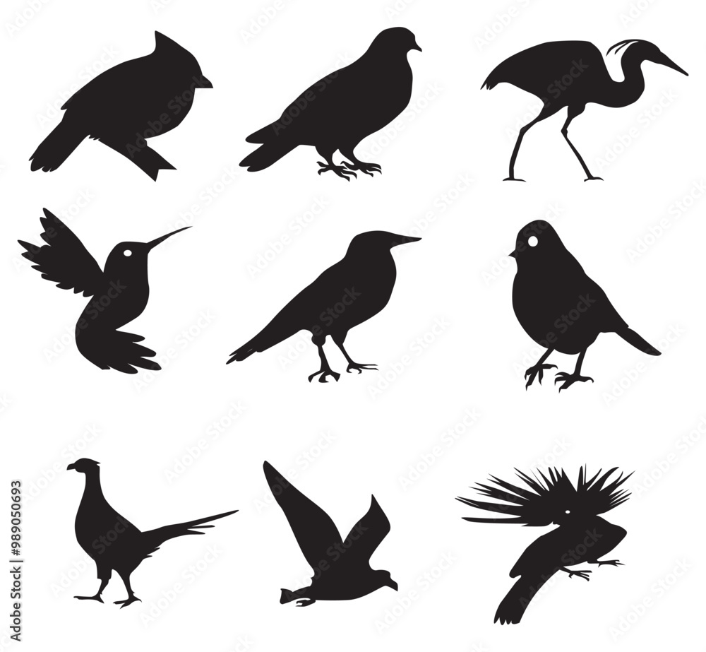 Fototapeta premium Bird Silhouettes on white background