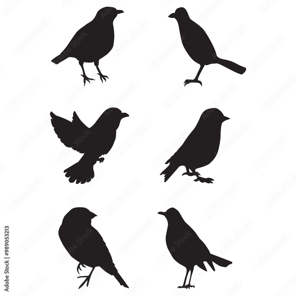 Fototapeta premium Bird Silhouettes