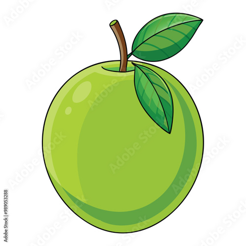 Guava illustration on white background.