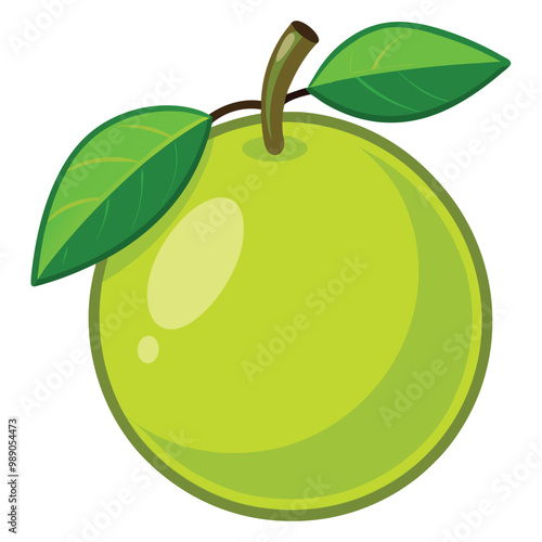 Guava illustration on white background.