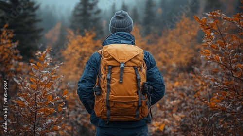 Solo Traveler Exploring Fall Colors in National Park