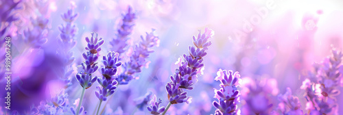 Lavender Game Show Lullaby: Abstract Flower Backdrop