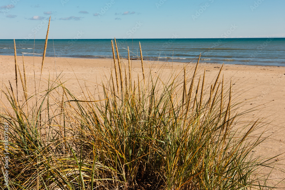 Looking through the dune grasses along the beach within Harrington Beach State Park, Belgium, Wisconsin, in late October when Lake Michigan is quite calm. Looking through the dune grasses along the beach within Harrington Beach State Park, Belgium, Wisconsin, in late October when Lake Michigan is quite calm.