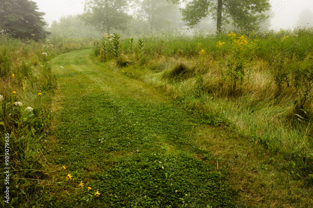 Obraz premium The fog from nearby Lake Michigan settles over the trails at the Forest Beach Migratory Preserve near Port Washington, Wisconsin in late August