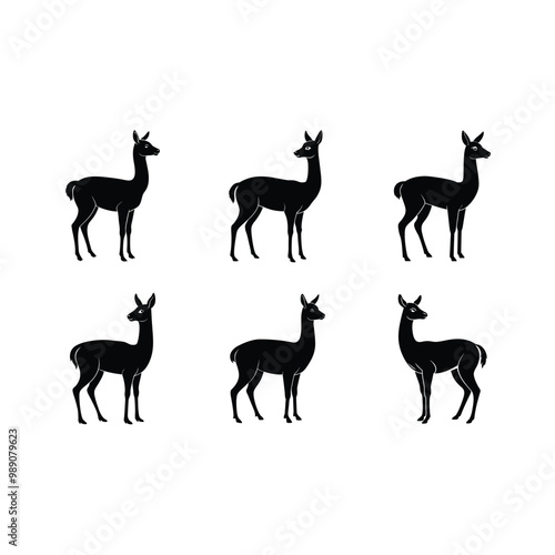 Charming vicuna vector and line art design perfect for creative printables.