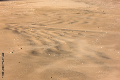 An abstract image of a bird in flight created by the rippled dark sand on the beach at Harrington Beach State Park, Belgium, Wisconsin in early November photo