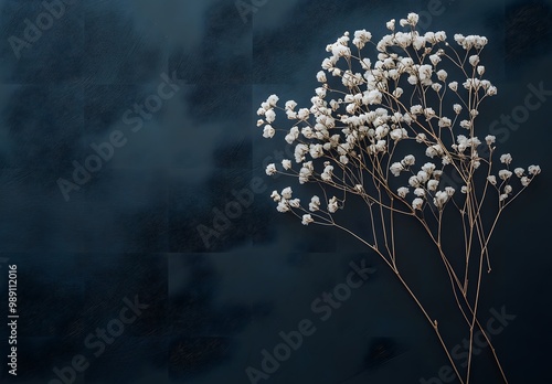 Minimalist Dried Baby's Breath Flowers on Blue Background
