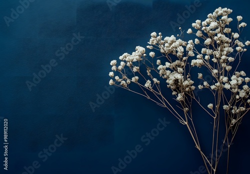 Minimalist Dried Baby's Breath Flowers on Blue