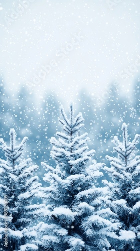 Wallpaper Mural Snow Covered Pine Trees in Winter Forest Torontodigital.ca