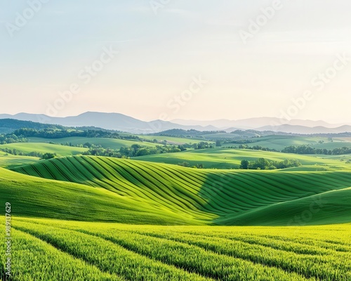 Wallpaper Mural Rolling green hills with a patchwork of fertile farmland, soft light, photorealistic, vibrant colors, dynamic composition, serene Torontodigital.ca