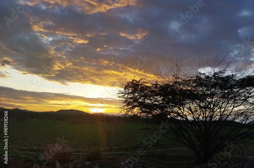 Beautiful sunset in forest