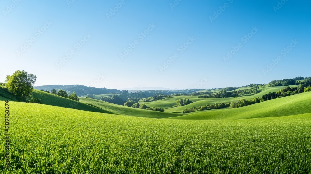 Broad Scenic View of Lush Green Fields and Rolling Hills Against a Clear Sky Broad Scenic View of Lush Green Fields and Rolling Hills Against a Clear Sky
