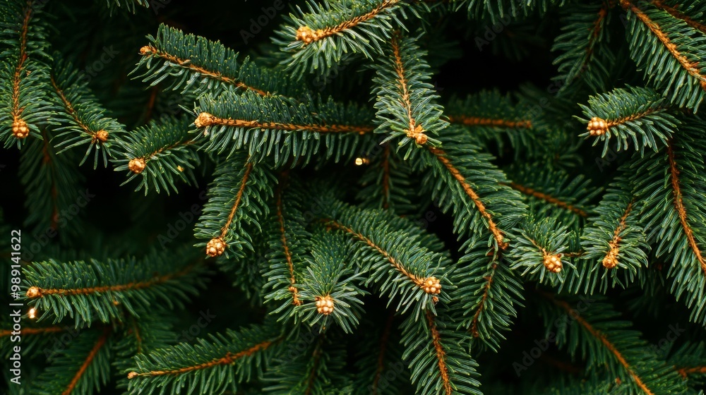 Close-up view of a Christmas tree background Close-up view of a Christmas tree background