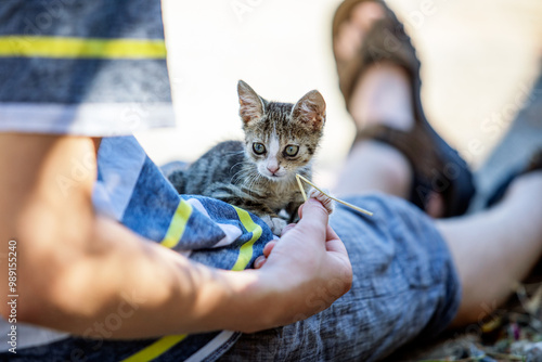 A touching image featuring a sweet stray kitten interacting with a human on a city street