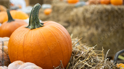 Vibrant and Colorful Pumpkins Surrounded by Golden Hay Bales in a Beautiful Autumn Setting