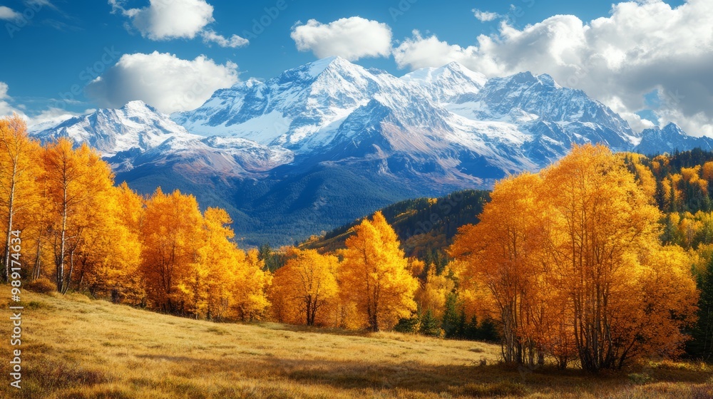 Fototapeta premium Sunny autumn mountain scene featuring vibrant yellow trees against snow capped peaks