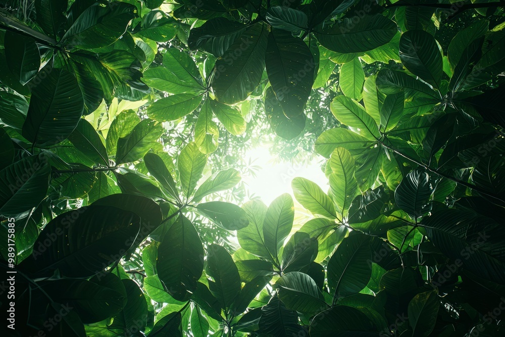 Lush Green Foliage Framing a Bright Sunlight Gleam Lush Green Foliage Framing a Bright Sunlight Gleam