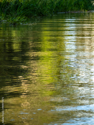 Amazon rainforest is reflected on the water surface of a side arm of the Amazon near the town of Jutaí.