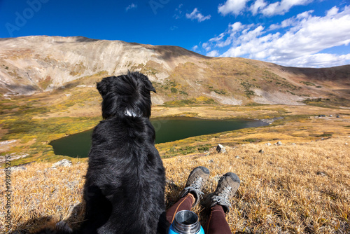 Photography Hiking With Dogs in Breckenridge, Colorado