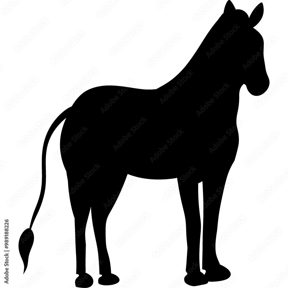 Obraz premium Horse Silhouette