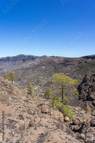 Typical mountain landscape in the central part of the island. Gran Canaria. Canary Islands. Spain.