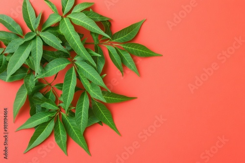 Vibrant green leaves on vivid coral background