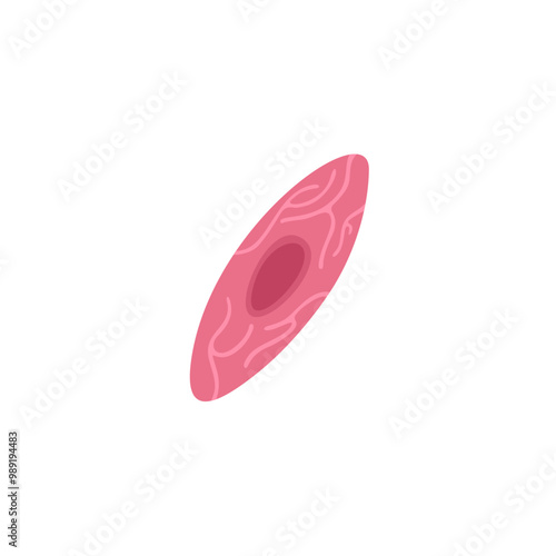 Endothelial Cell Illustration 