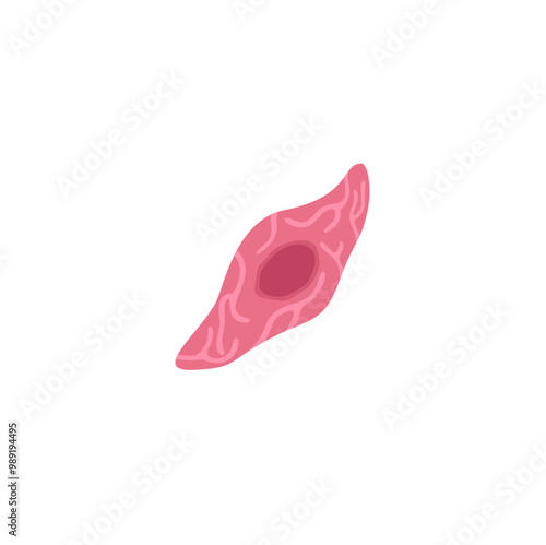 Endothelial Cell Illustration 