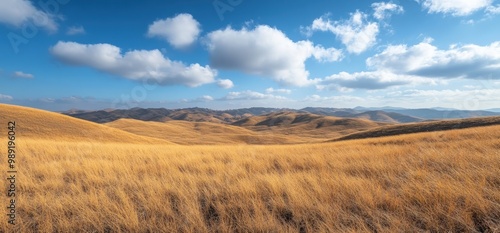 Expansive view of rolling hills with golden grass under a clear blue sky with white fluffy clouds.