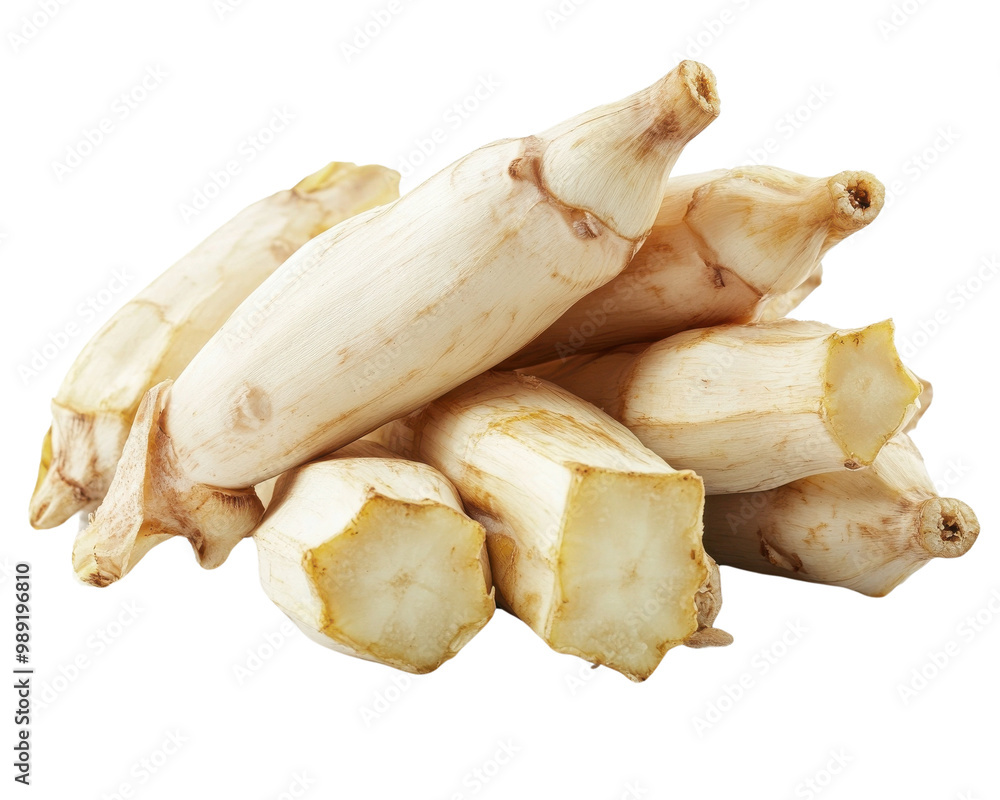 Fresh root vegetables, isolated on white background. transparent background Fresh root vegetables, isolated on white background. transparent background