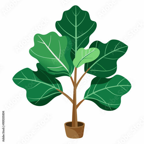 Elegant Fiddle Leaf Fig Plant In Pot Flat Design Vector Graphic For Interior Decor