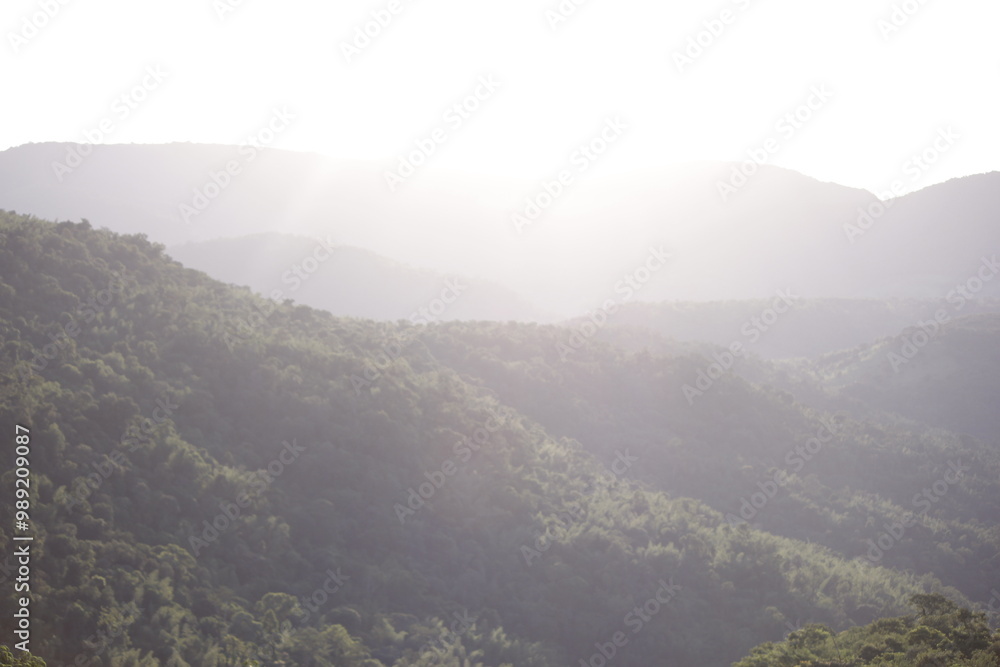 Naklejka premium Paesaggio collina