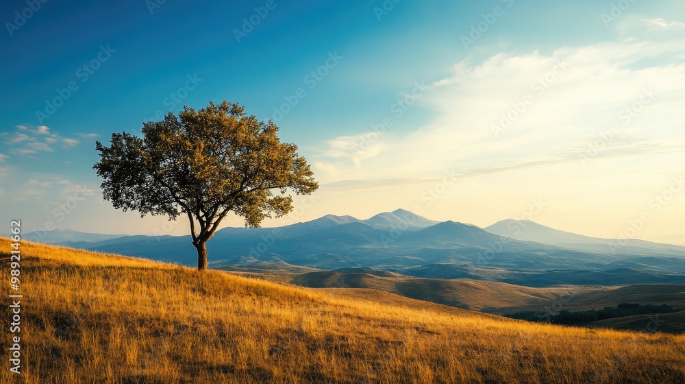 tree in a vast landscape, standing tall on a hill, with mountains visible in the distance tree in a vast landscape, standing tall on a hill, with mountains visible in the distance