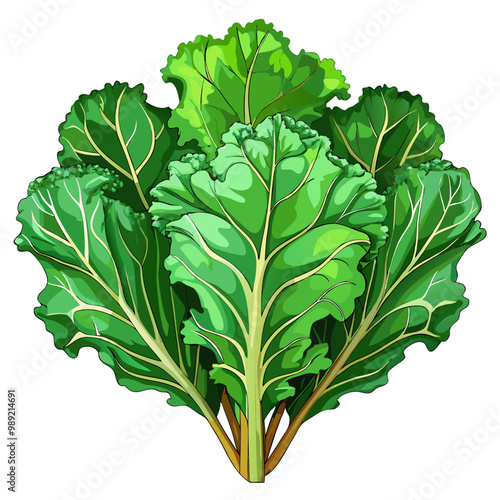 Nutritious kale leaves with stems organic vegetable vector illustration digital art design