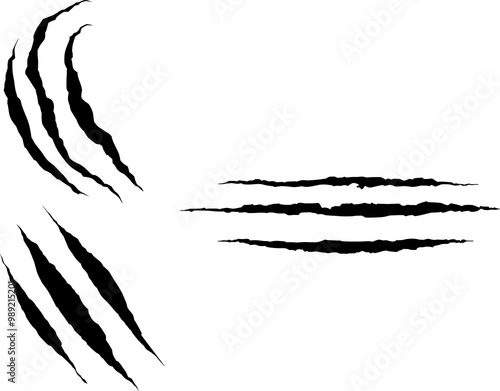 Dragon, bear and tiger claw marks, scratches and torn traces. Vector animal and monster attack marks, scars and claw slashes, lion, wild cat or dinosaur beast paw talon traces, tattoo or t-shirt print