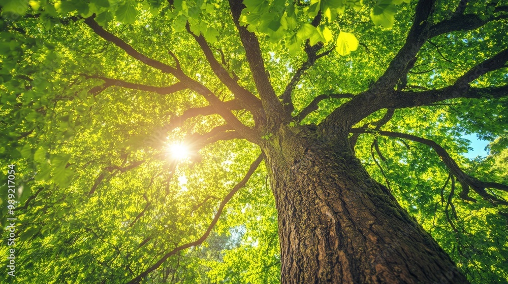 Fototapeta premium tree with vibrant green leaves, swaying gently in the breeze on a sunny summer day