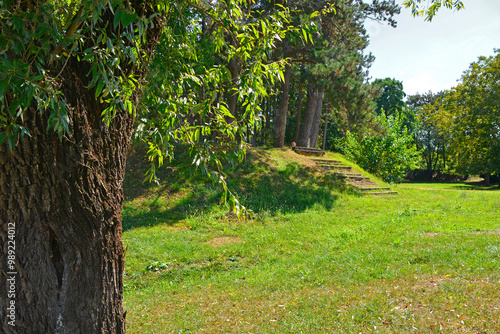 Trees in Borov Gozdicek Borovci Park in the centre of Nova Gorica, Primorska, western Slovenia. Late summer, September photo