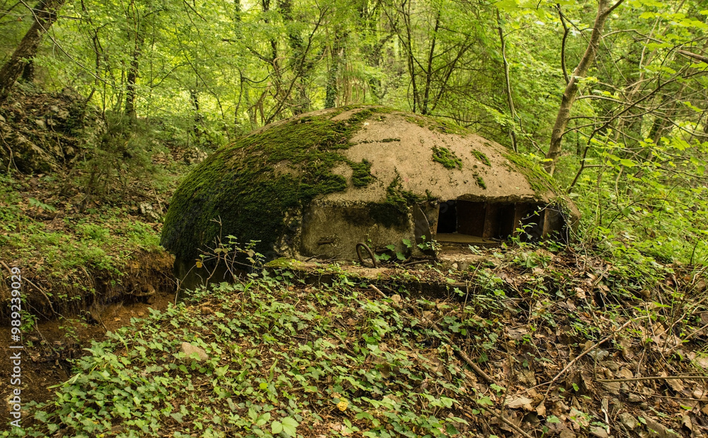 Fototapeta premium An abandoned pillbox bunker in the forest on Mount Dajti near Tirana in Central Albania. A relic from the 1960s -1980s Hoxha government's bunkerization program driven by a fear of invasion