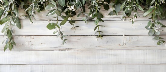 Eucalyptus & Mistletoe Winter Wooden Background