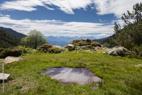 Landscape view of green meadow with puddle and  mountains in background at summer, Arinsal, Andorra