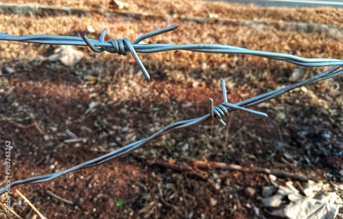 Wallpaper Mural close up of a metal barbed wire Torontodigital.ca