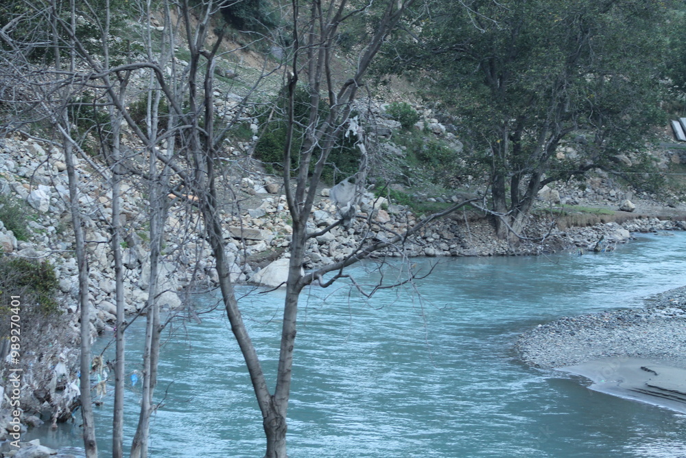 Dead trees stand eerily in the middle of deep blue river waters, their bare branches contrasting against the tranquil flow, creating a haunting yet serene scene Dead trees stand eerily in the middle of deep blue river waters, their bare branches contrasting against the tranquil flow, creating a haunting yet serene scene