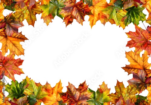 Autumn Leaves Frame with White Background for Text