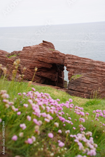 The Arbroath Cliffs in Scotland photo