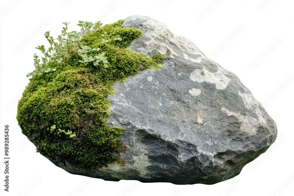 A moss-covered rock positioned against a light-colored surface or background A moss-covered rock positioned against a light-colored surface or background