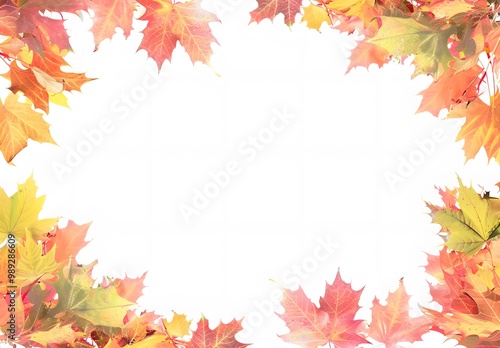 Autumn Leaf Frame, White Background, Copy Space