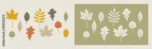 Different types of autumn leaves isolated illustration set. Hand drawn graphic. Cute collection of simple flat elements. Color maple, oak, rowan leaf design.