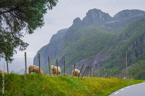 Landscape of the south of Norway