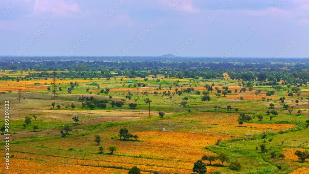 scenery of beautiful lush greenery of large land of agricultural farms and sky scenery of beautiful lush greenery of large land of agricultural farms and sky